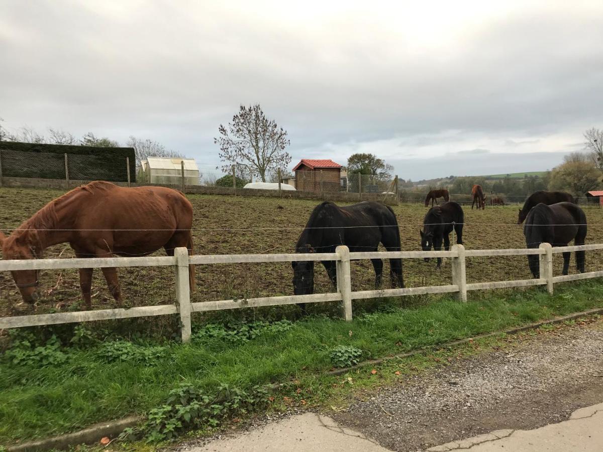 Akoa Villa Isques Eksteriør billede